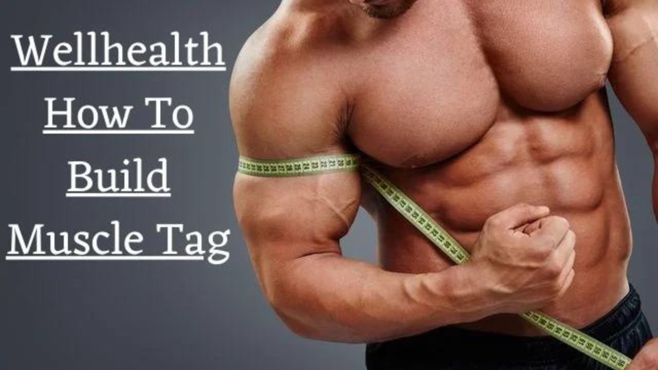 Wellhealth How to Build Muscle Tag? A Manual for Muscle Building